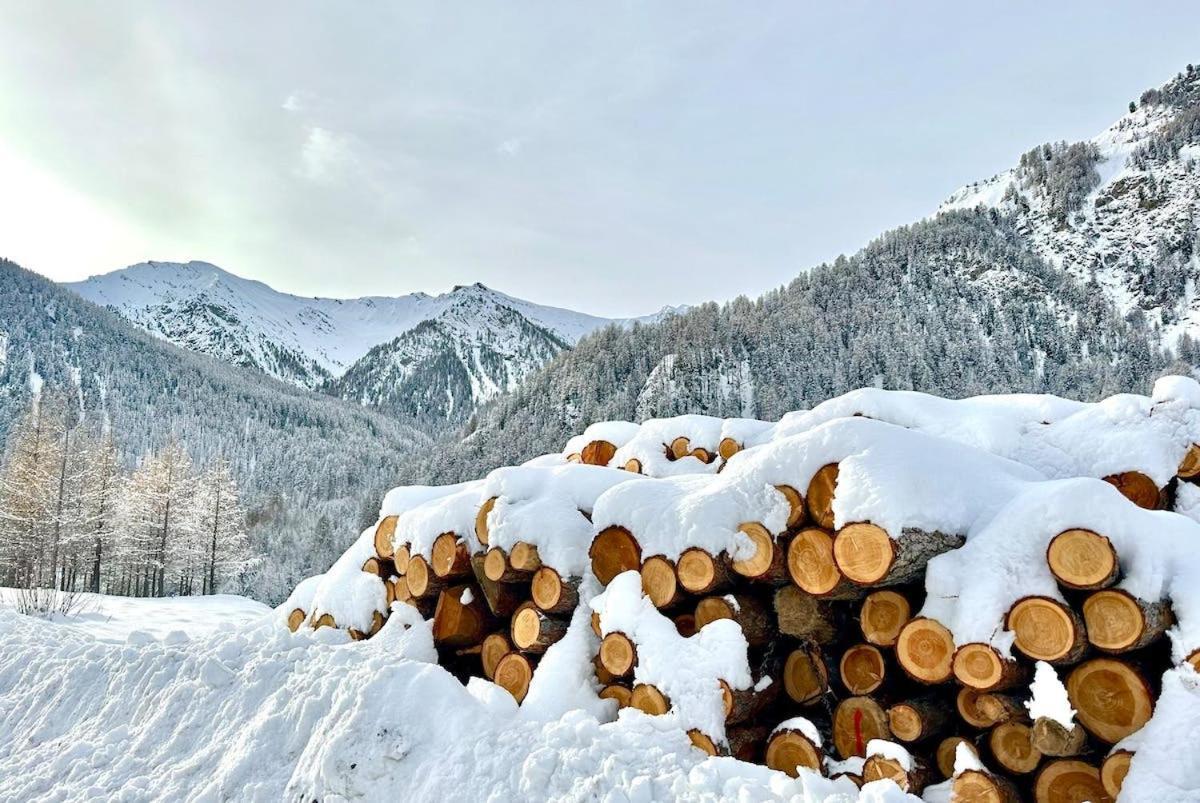 Casa-La Carotto Apart In Chalet Saint Veran 외부 사진